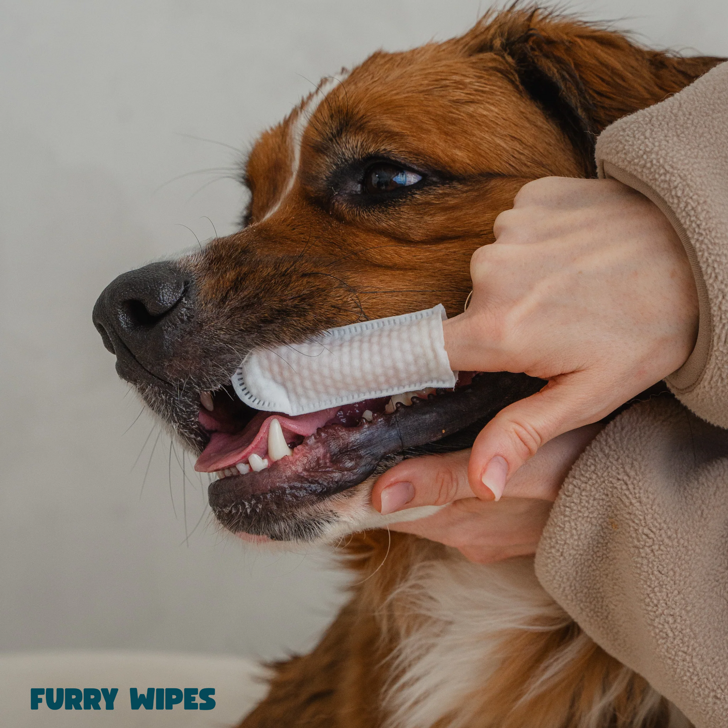 Furry Wipes – Rengör tänderna utan tandborste