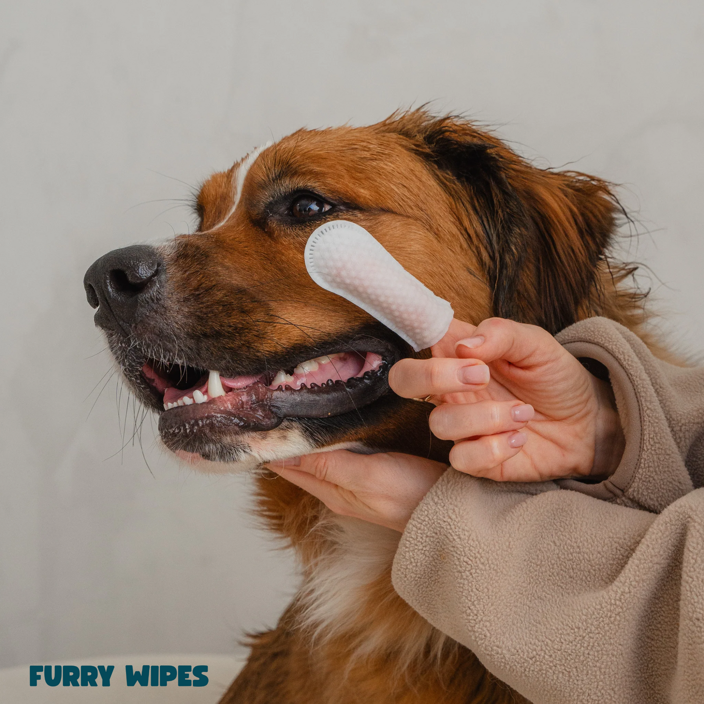 Furry Wipes – Rengör tänderna utan tandborste