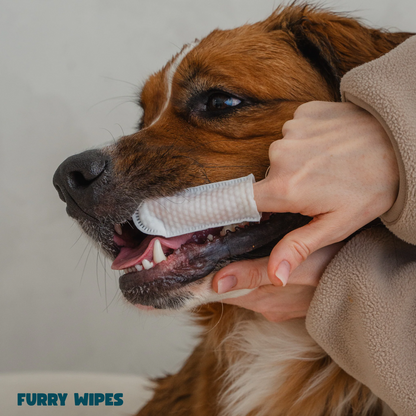 Furry Wipes – Rengör tänderna utan tandborste